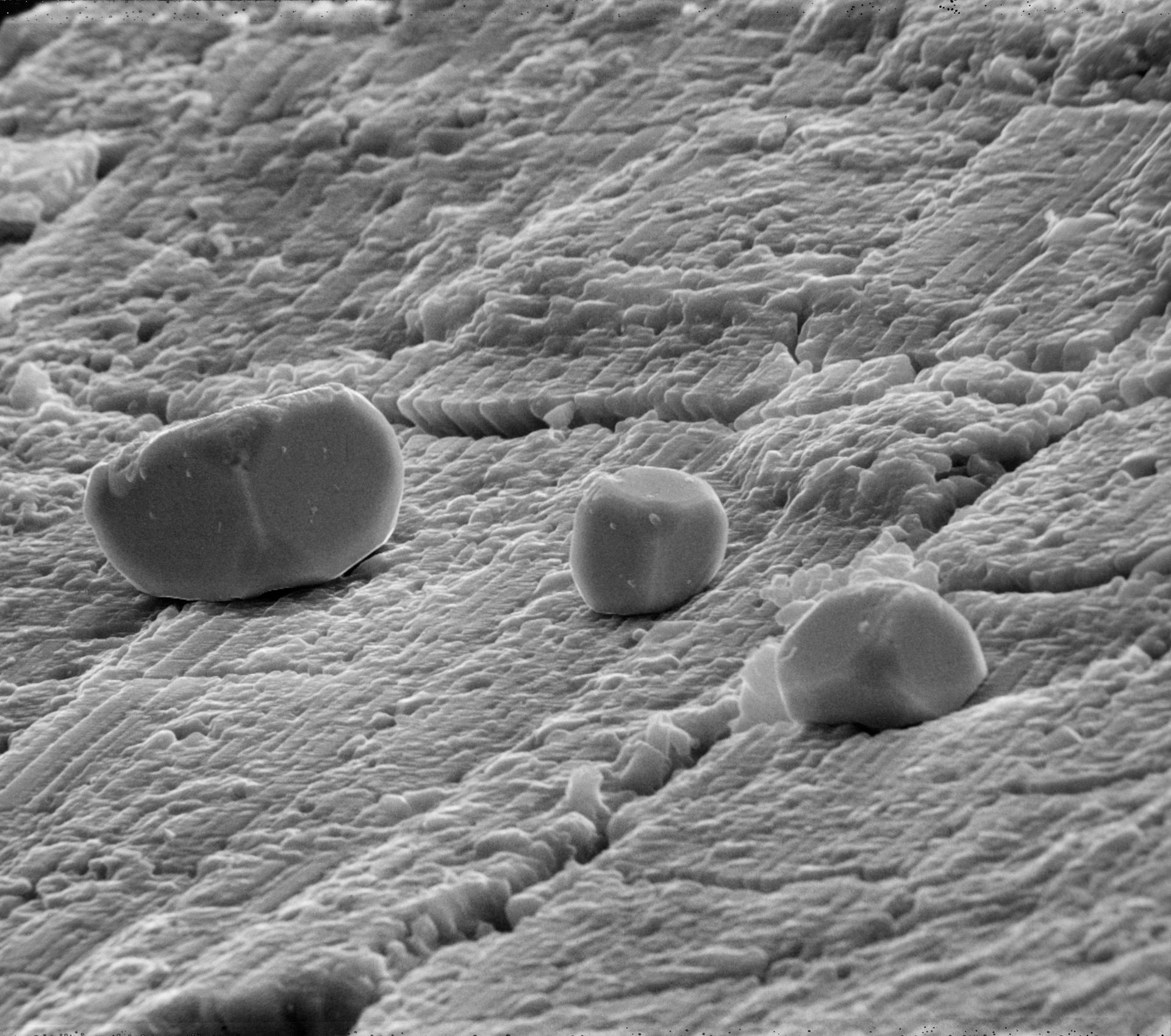 Microfotografía electrónica de una muestra geológica